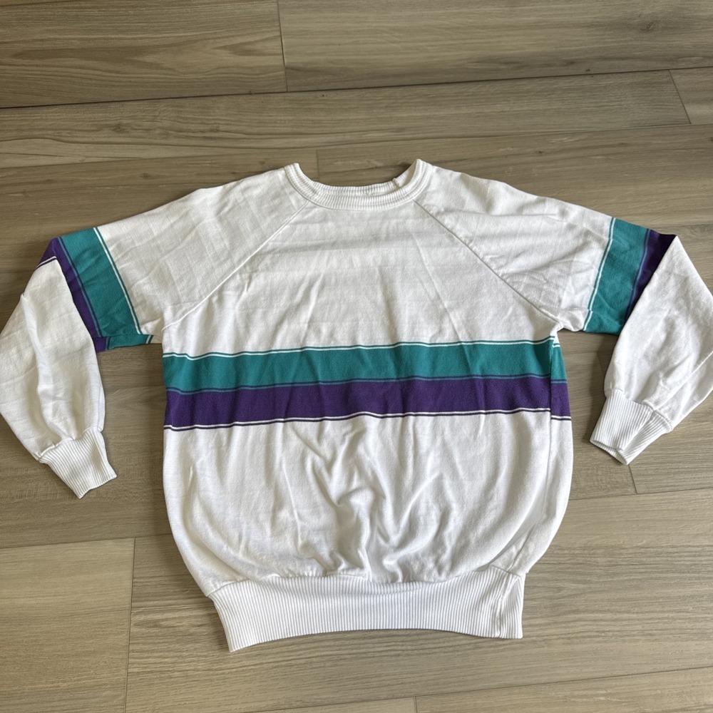 Vintage American Sportswear Sweatshirt XL Fits Small Purple Teal Striped Hornets